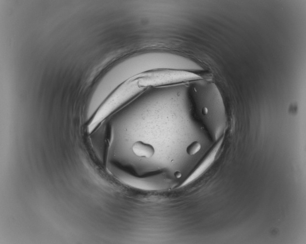 X0000113860444200910151240
