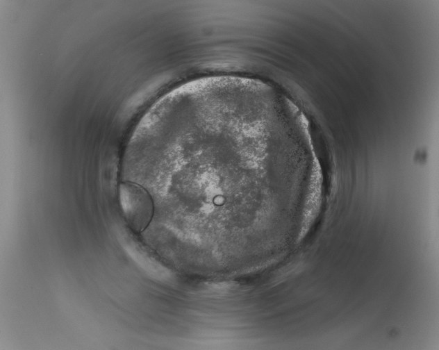 X0000113860446200910151240