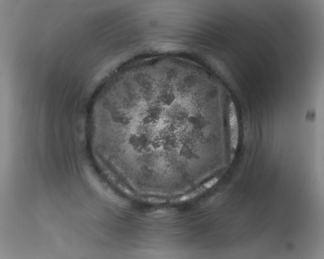 X0000113860447200910151240