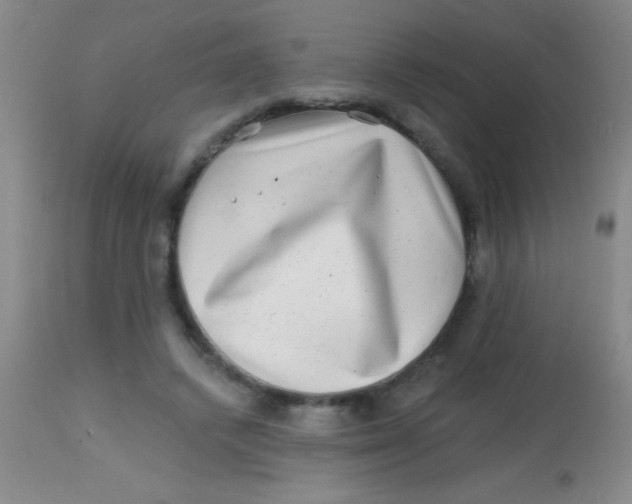X0000113860448200910151240