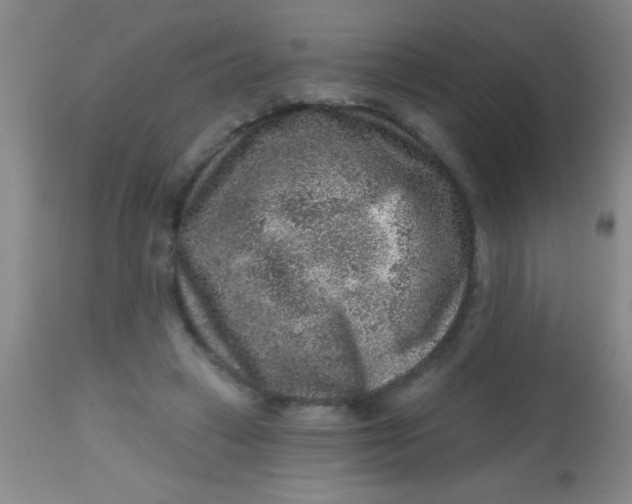X0000113860449200910151240