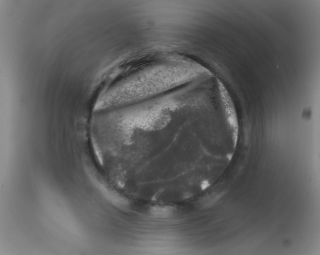 X0000113860450200910151240