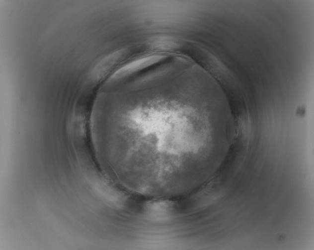 X0000113860452200910151240