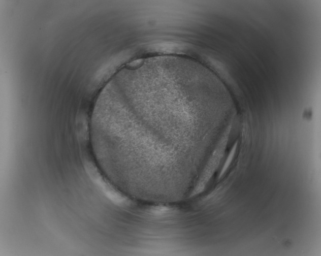 X0000113860453200910151240