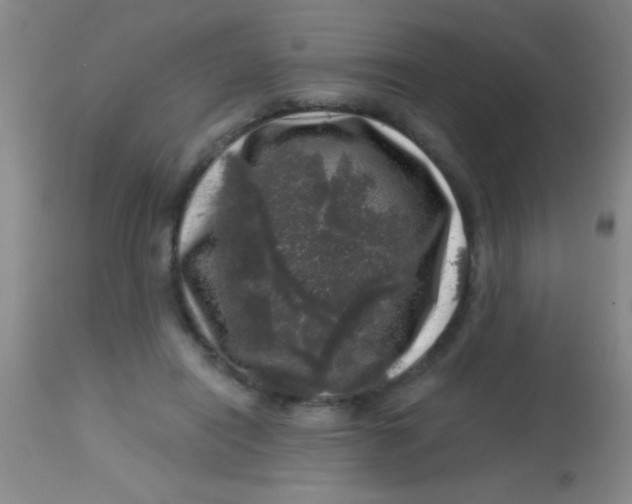 X0000113860454200910151240