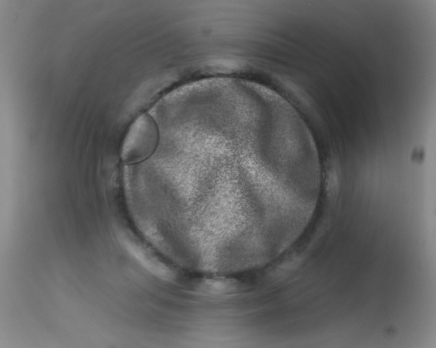 X0000113860455200910151240