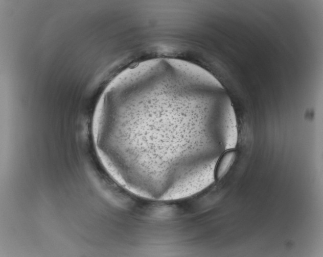 X0000113860456200910151240