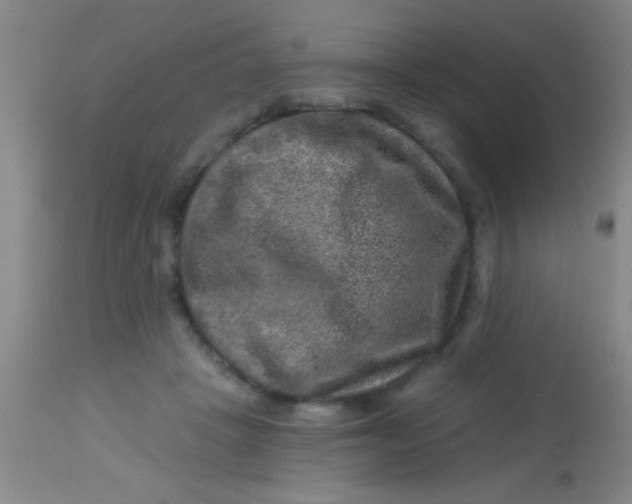 X0000113860457200910151240