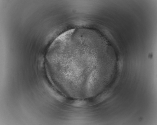 X0000113860458200910151240