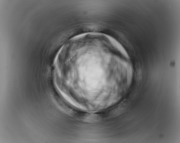 X0000113860459200910151240