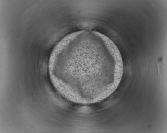 X0000113860460200910151240
