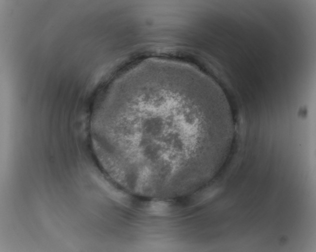 X0000113860462200910151240