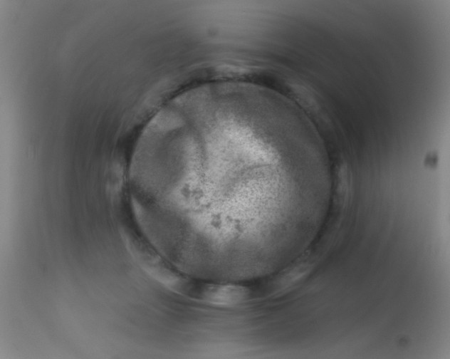 X0000113860463200910151240
