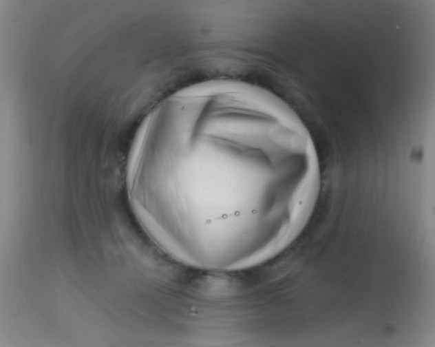 X0000113860464200910151240