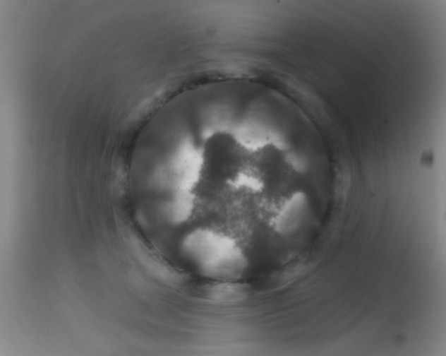 X0000113860465200910151240