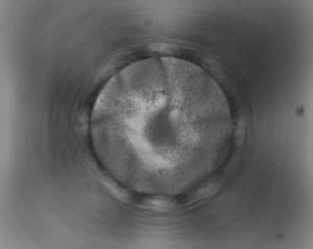 X0000113860466200910151240