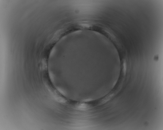 X0000113860467200910151240