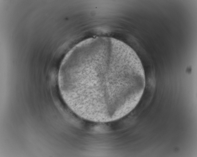 X0000113860468200910151240