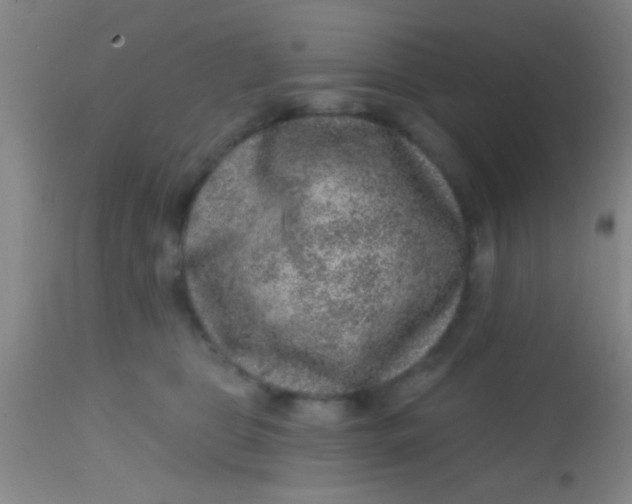 X0000113860469200910151240