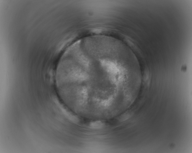 X0000113860470200910151240