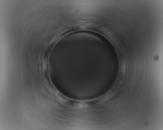 X0000113860471200910151240