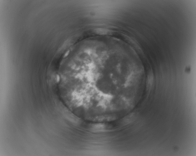 X0000113860473200910151240