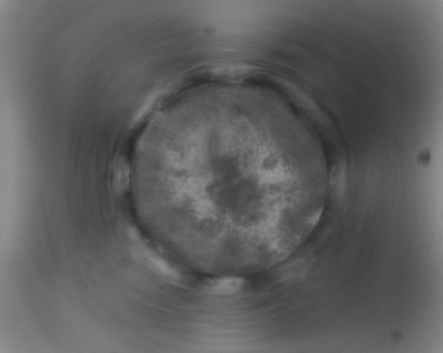 X0000113860474200910151240