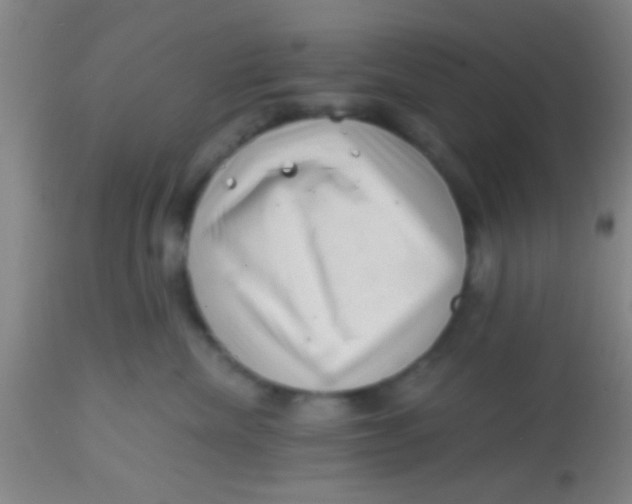 X0000113860476200910151240