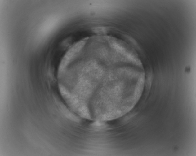 X0000113860477200910151240