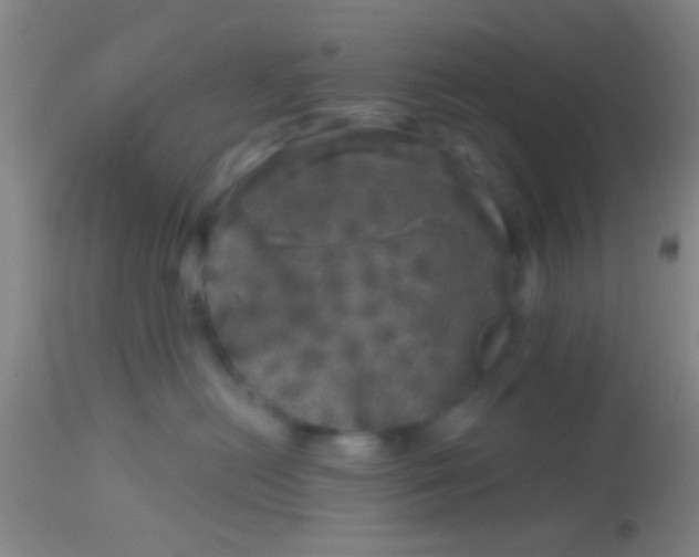 X0000113860478200910151240