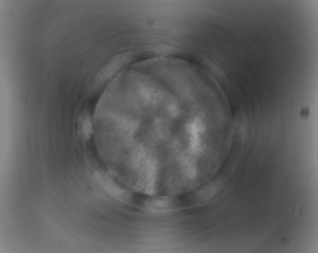 X0000113860479200910151240