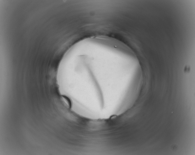 X0000113860480200910151240