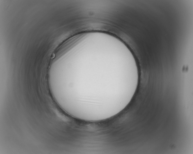 X0000113860481200910151240