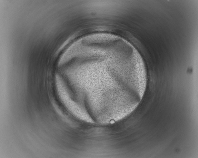 X0000113860482200910151240