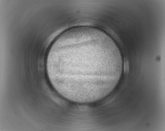 X0000113860483200910151240