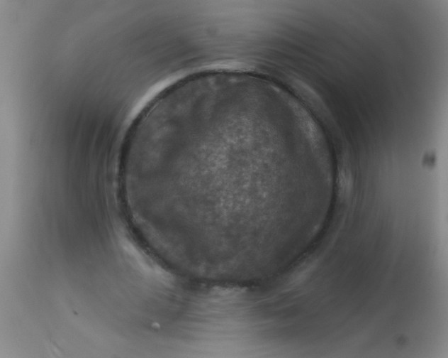 X0000113860484200910151240