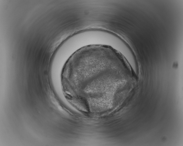 X0000113860485200910151240
