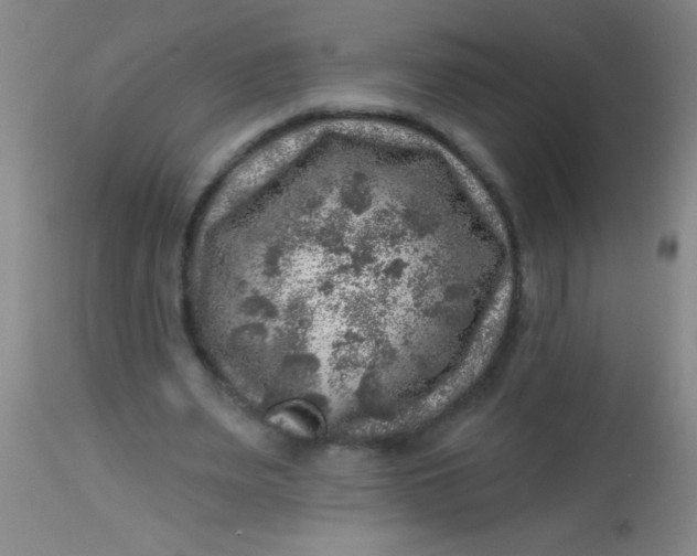 X0000113860487200910151240