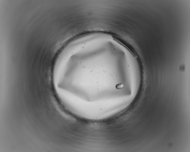 X0000113860489200910151240