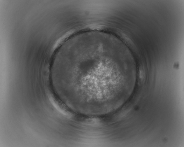 X0000113860492200910151240