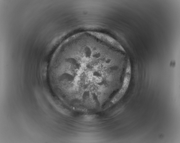 X0000113860495200910151240