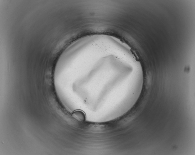 X0000113860497200910151240