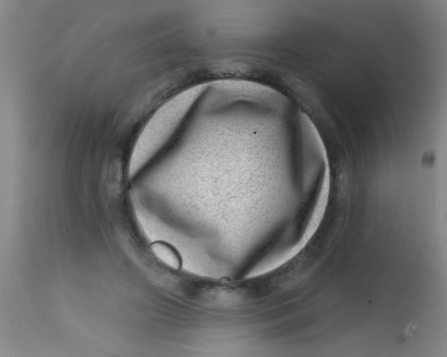 X0000113860498200910151240