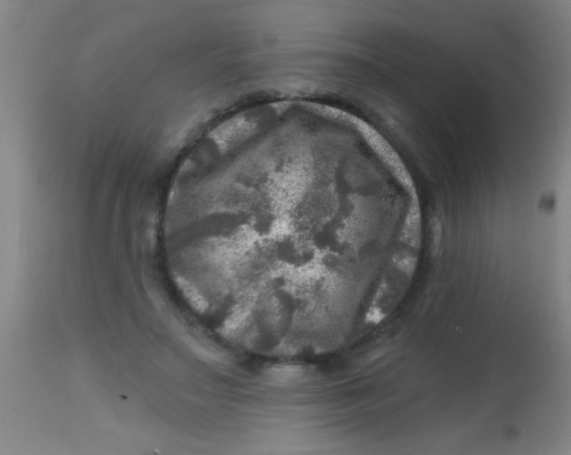 X0000113860499200910151240