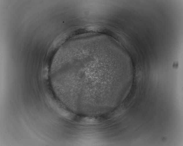 X0000113860502200910151239