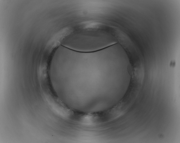 X0000113860504200910151239