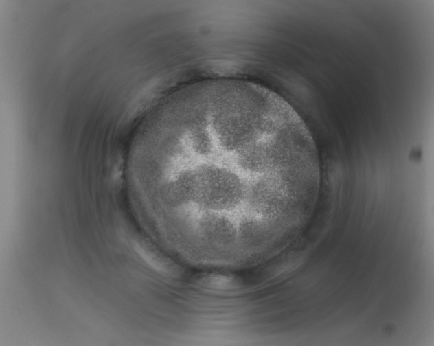 X0000113860507200910151239