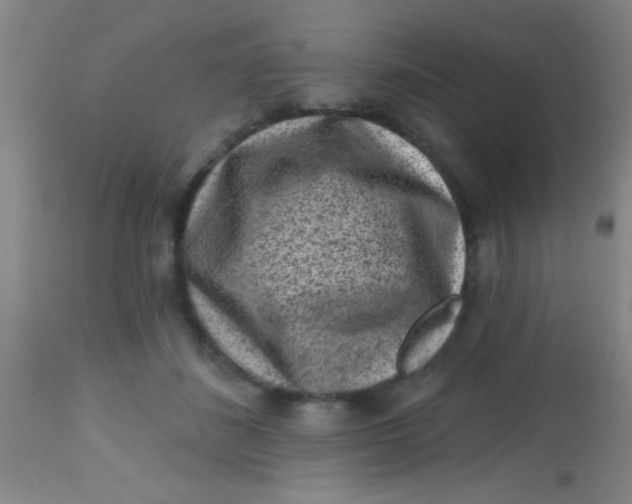 X0000113860508200910151239