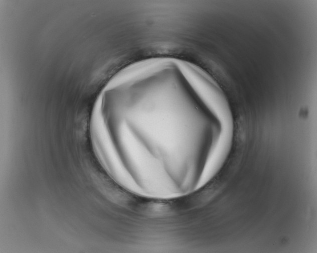 X0000113860509200910151239