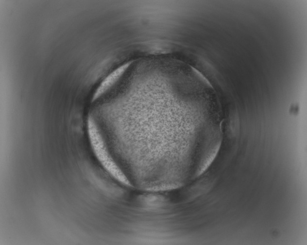 X0000113860512200910151239